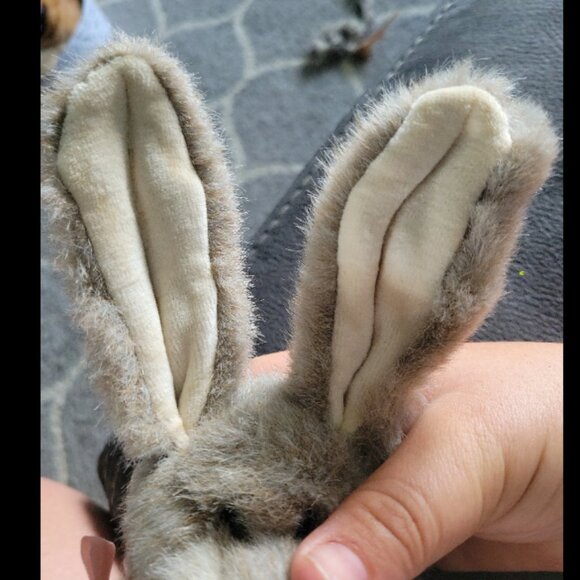 Boyds Bear Bunny Stanley - Picture 4 of 4